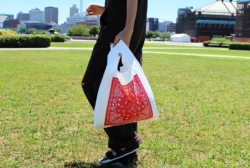 マルシェマイバッグ