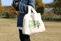 スナップコンパクト