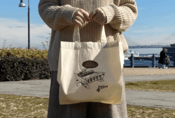 【10枚セット】たためるコットンワイド