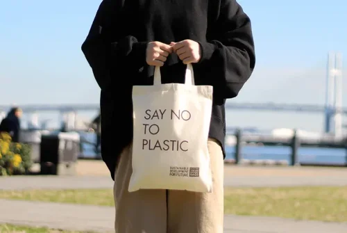 オーガニックコットンA4バッグ