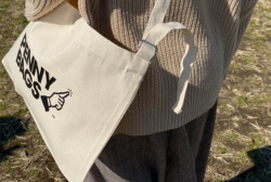 アジャスターサコッシュ