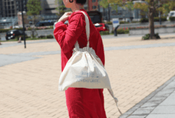 バインダーコットン