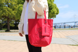 コンパクトポリトート（M）