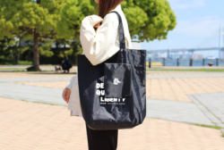 コンパクトポリトート（L）