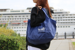 リサイクルレジカゴバッグ