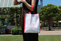 不織布A4パイピングバッグ