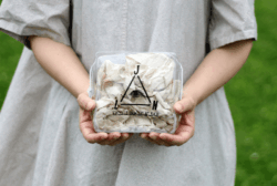 クリアスクエアポーチミニ