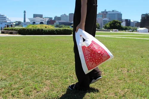 8568エコバッグのご紹介！タイベック®素材で作った「マルシェマイバッグ」