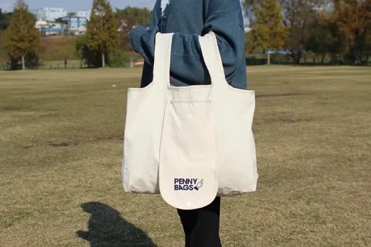 スナップコンパクト
