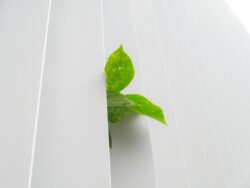 サステナブルな素材のバッグ