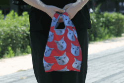 オリジナル名入れ製作事例:フルカラーエコバッグ(S)