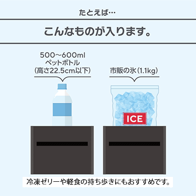 保冷バッグインバッグ THERMOS REY-0031