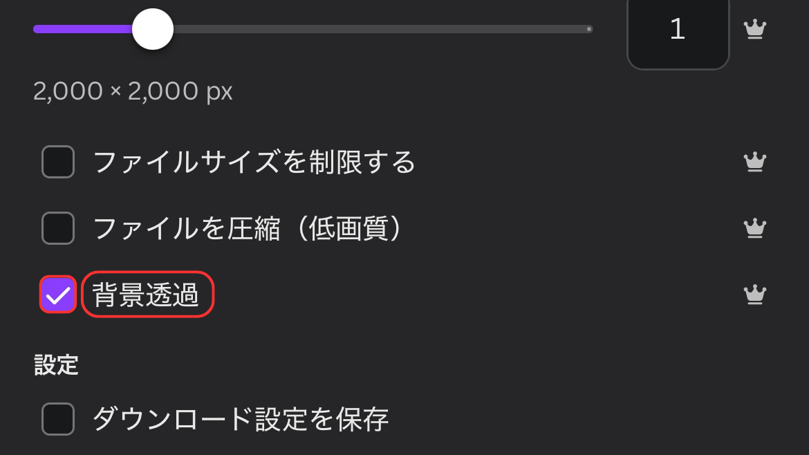 Canvaアプリ設定画面4