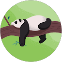 ぱんくま profile picture